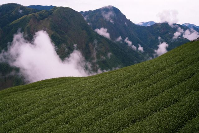 Картинка блога